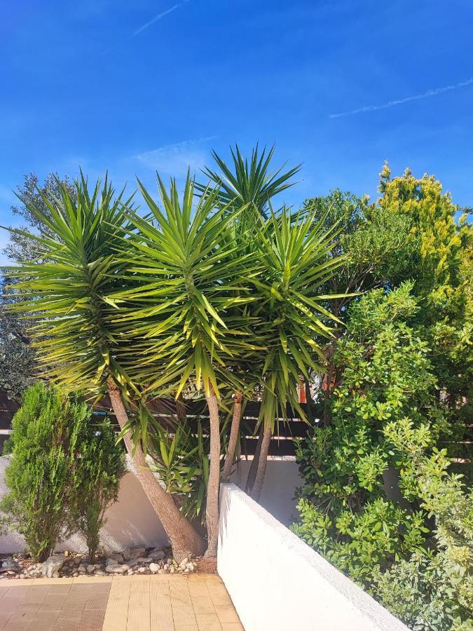 Villa Maya Ližnjan 외부 사진